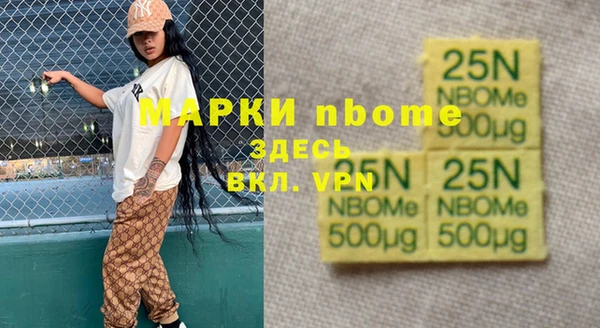 соль ск Заречный