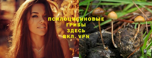 молекула духа Сатка