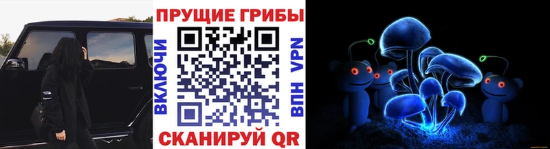 Галлюциногенные грибы Magic Shrooms  Купить где  Исилькуль 